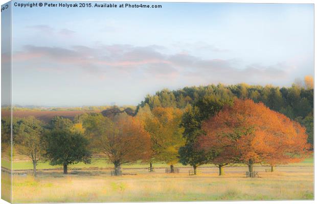 Autumn Hues Canvas Print by Pete Holyoak