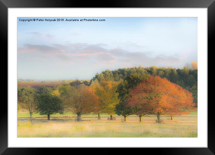 Autumn Hues Framed Mounted Print by Pete Holyoak
