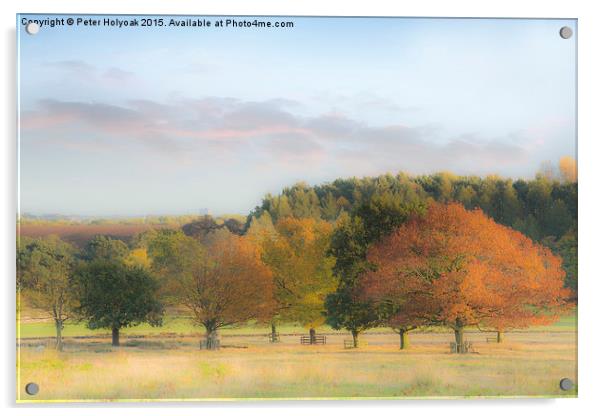 Autumn Hues Acrylic by Pete Holyoak