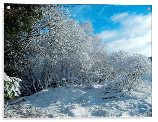  Snow in Puiteachan, Glen Loy, Highlands Acrylic by Dawn Rigby