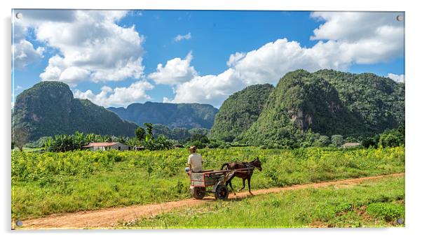 Vinales Valley - Cuba Acrylic by Gail Johnson