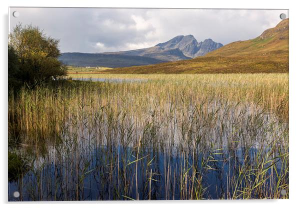 Blaven and the Reeds of Loch Cill Chriosd Acrylic by Derek Beattie