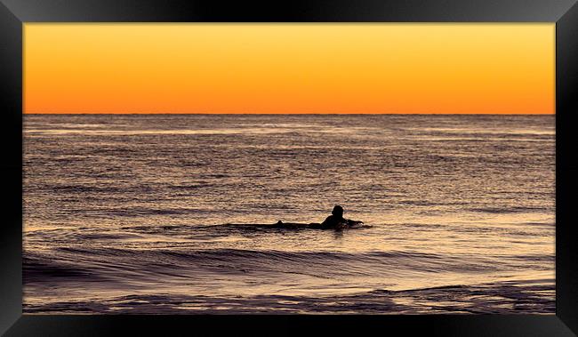  Sunset Surfer Framed Print by Shawn Jeffries