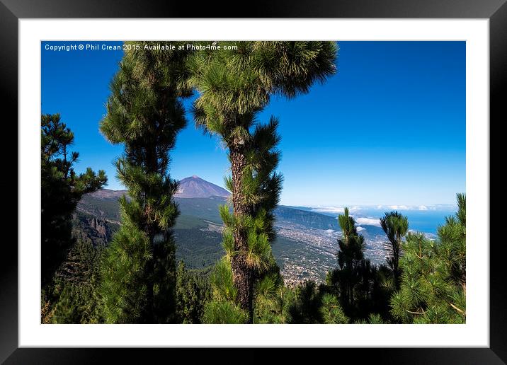  Mount Teide viewed through pine trees, Tenerife. Framed Mounted Print by Phil Crean