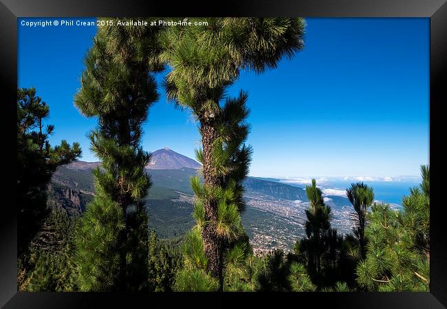  Mount Teide viewed through pine trees, Tenerife. Framed Print by Phil Crean