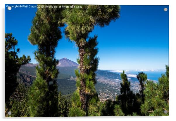  Mount Teide viewed through pine trees, Tenerife. Acrylic by Phil Crean