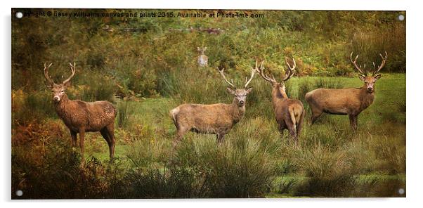 Stag Party The Boys Acrylic by Linsey Williams