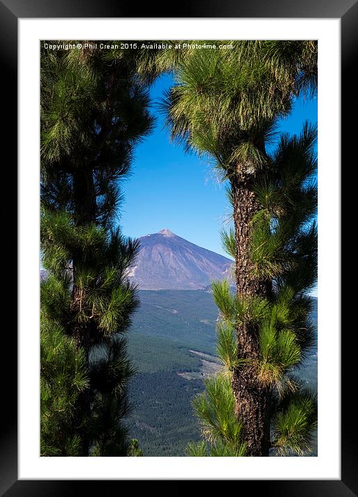  View of Mount Teide through arch of pine trees, T Framed Mounted Print by Phil Crean