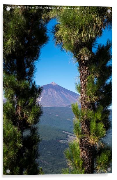  View of Mount Teide through arch of pine trees, T Acrylic by Phil Crean