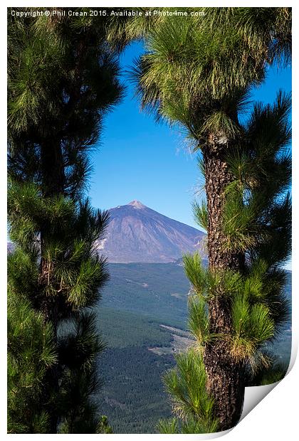 View of Mount Teide through arch of pine trees, T Print by Phil Crean
