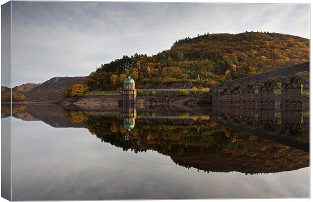 Autumn colours in the Elan Valley Canvas Print by Stephen Taylor