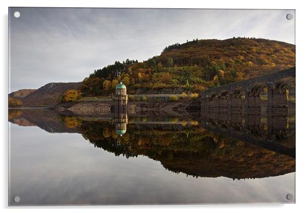 Autumn colours in the Elan Valley Acrylic by Stephen Taylor