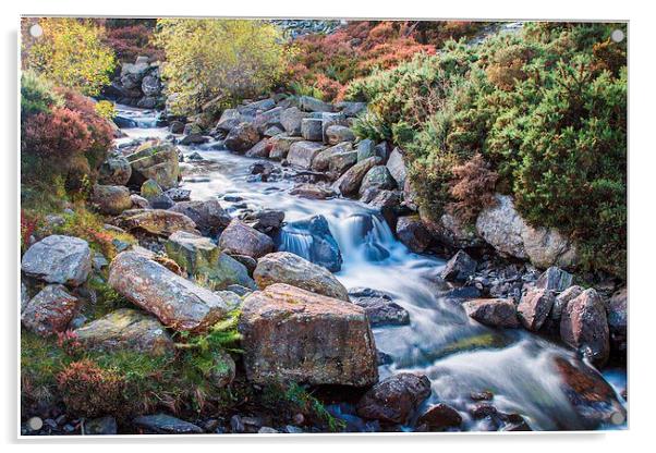  Cwm Idwal Water Cascade Acrylic by Chris Evans