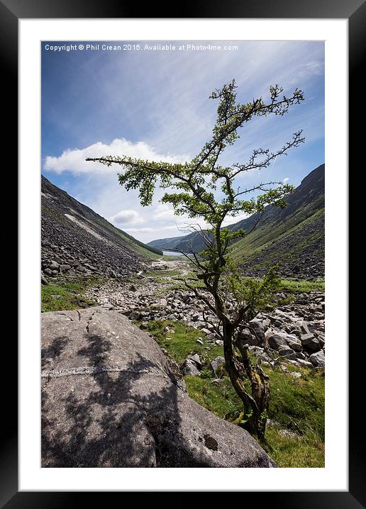 Glendalough valley and tree, Ireland Framed Mounted Print by Phil Crean