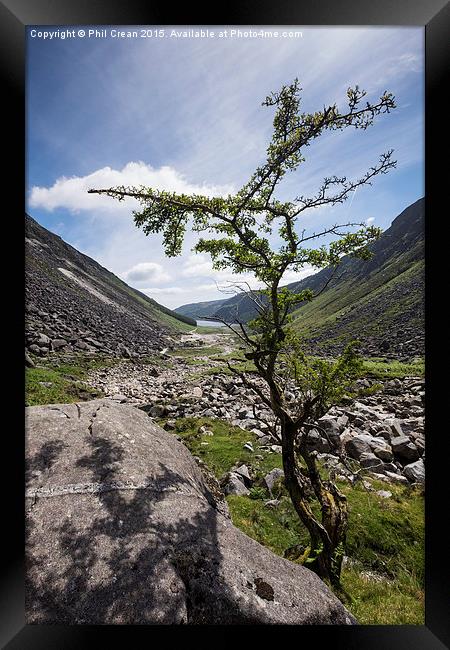 Glendalough valley and tree, Ireland Framed Print by Phil Crean