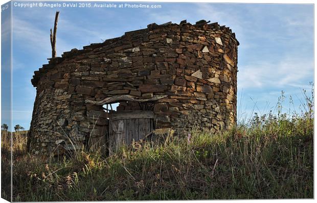 Ruins of an Antique Chicken Coop  Canvas Print by Angelo DeVal