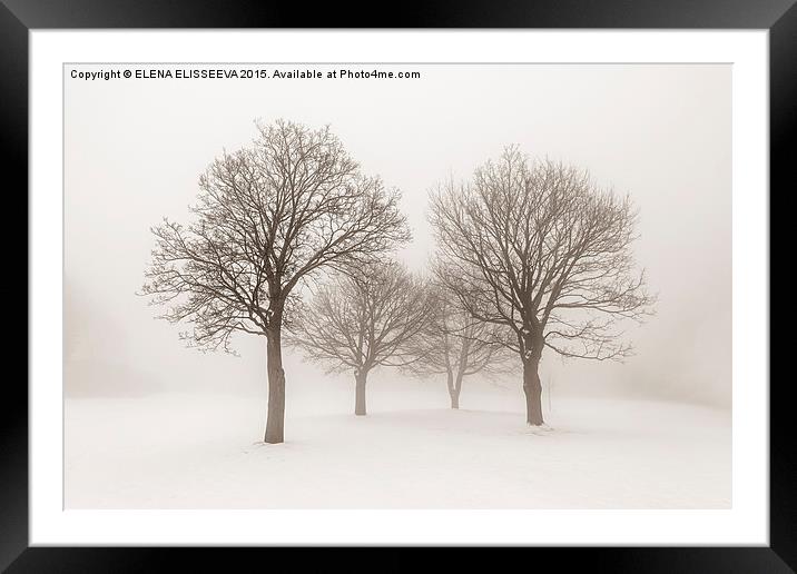 Winter trees in fog Framed Mounted Print by ELENA ELISSEEVA