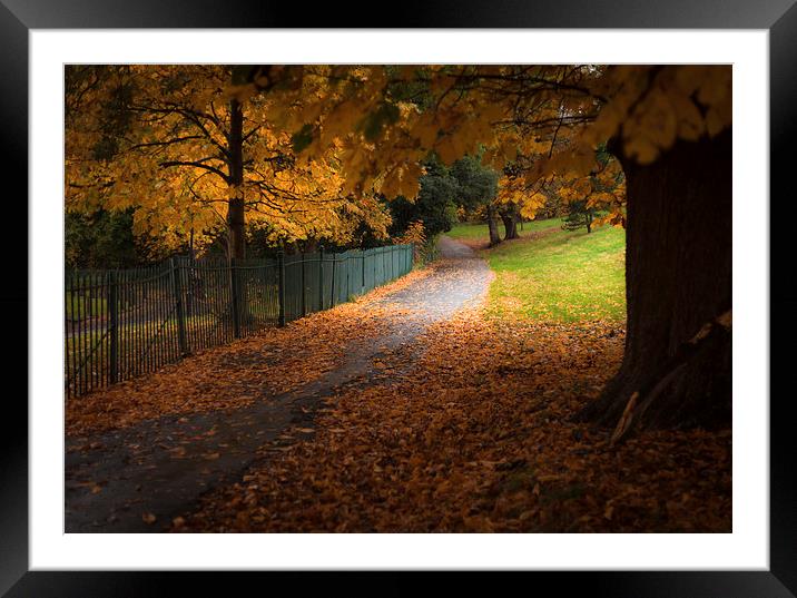  Autumn Leaves Framed Mounted Print by Leighton Collins