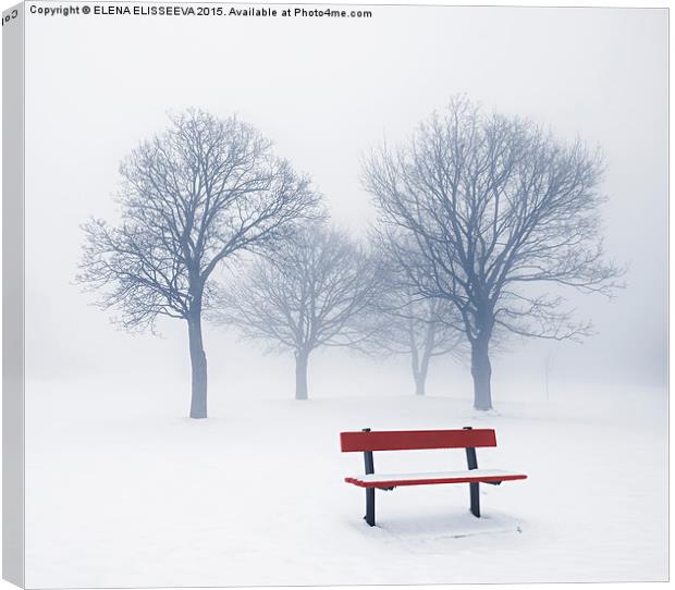 Winter trees and bench in fog Canvas Print by ELENA ELISSEEVA