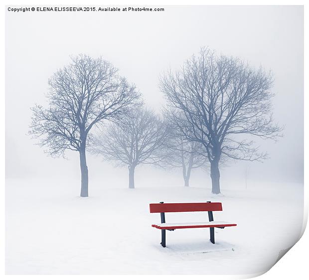 Winter trees and bench in fog Print by ELENA ELISSEEVA