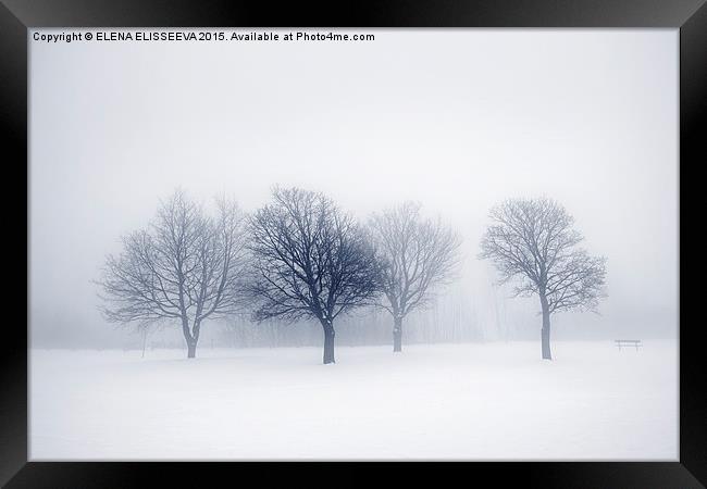 Winter trees in fog Framed Print by ELENA ELISSEEVA