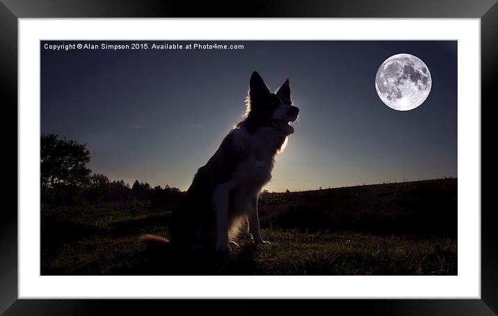  Moon Dog Framed Mounted Print by Alan Simpson
