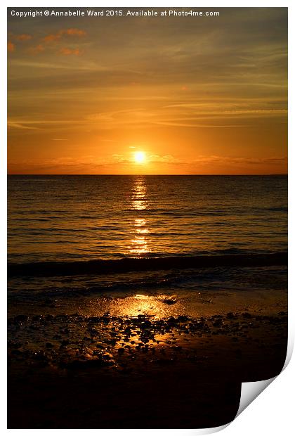  Sea Shore Sunset Print by Annabelle Ward