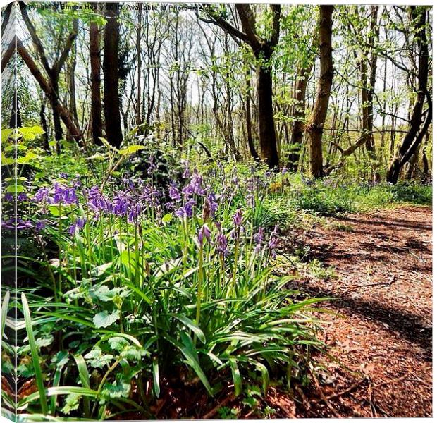  Bluebell woods in the springtime Canvas Print by Emma Healy