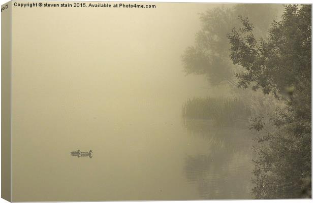  misty morning Canvas Print by steven stain
