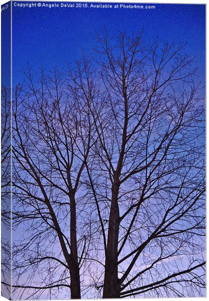 Solitude in Twilight Canvas Print by Angelo DeVal
