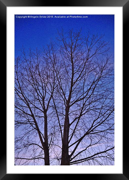 Solitude in Twilight Framed Mounted Print by Angelo DeVal