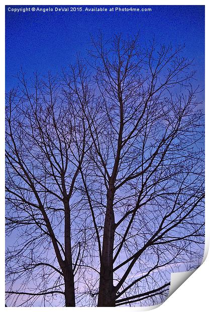 Solitude in Twilight Print by Angelo DeVal