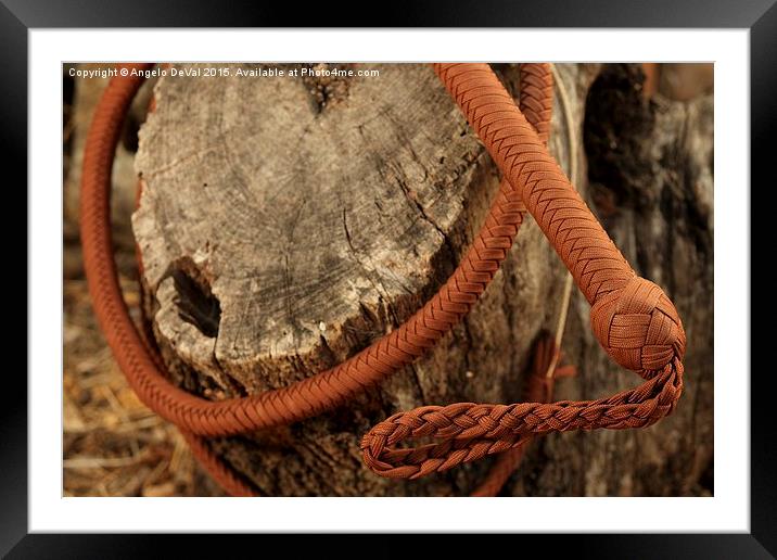 Brown Bullwhip around a tree trunk  Framed Mounted Print by Angelo DeVal