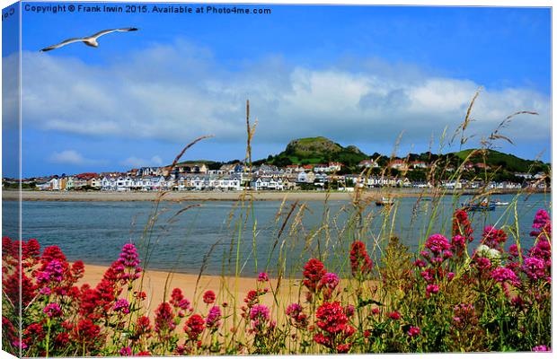  Deganwy from across the river in Conway Canvas Print by Frank Irwin