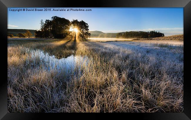  Loch Morig Sunrise Framed Print by David Brown