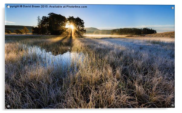  Loch Morig Sunrise Acrylic by David Brown
