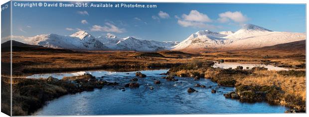  Black Mount Canvas Print by David Brown