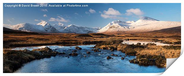  Black Mount Print by David Brown