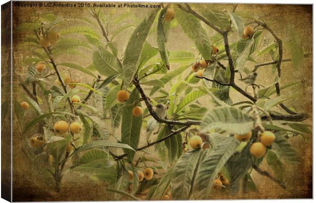  Blackcaps and Lemons Canvas Print by LIZ Alderdice