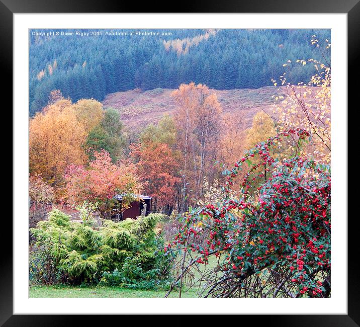  Shelter in the Autumn colours.  Framed Mounted Print by Dawn Rigby