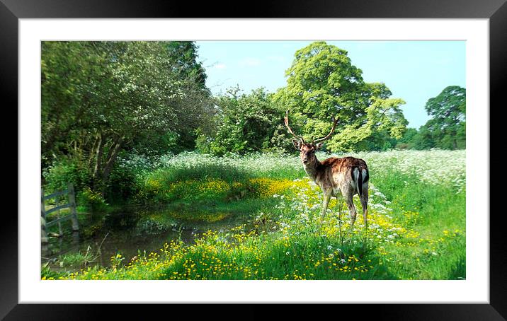  At the Waters Edge Framed Mounted Print by Jon Fixter