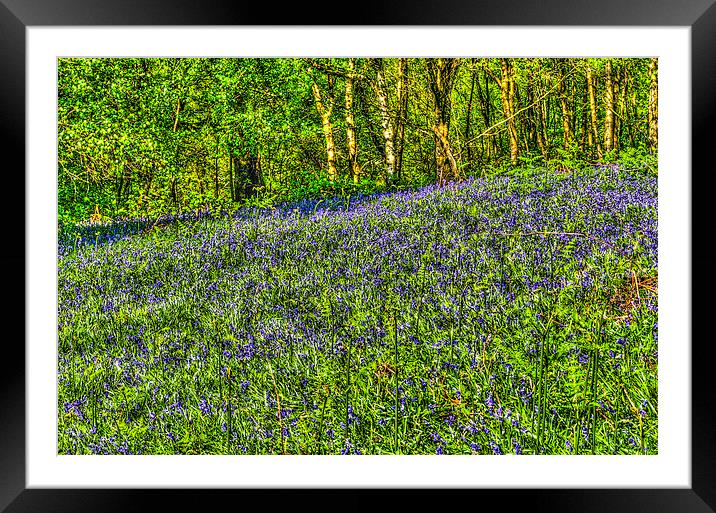Bluebell Woods Painterly Framed Mounted Print by Steve Purnell