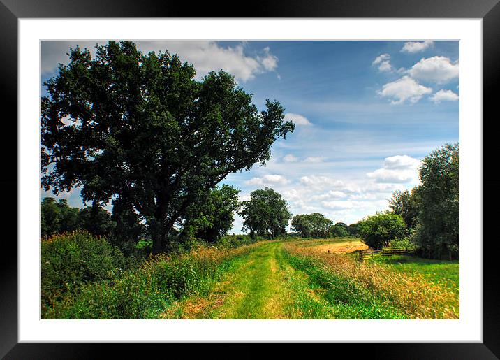 A Summers Day Framed Mounted Print by Jon Fixter