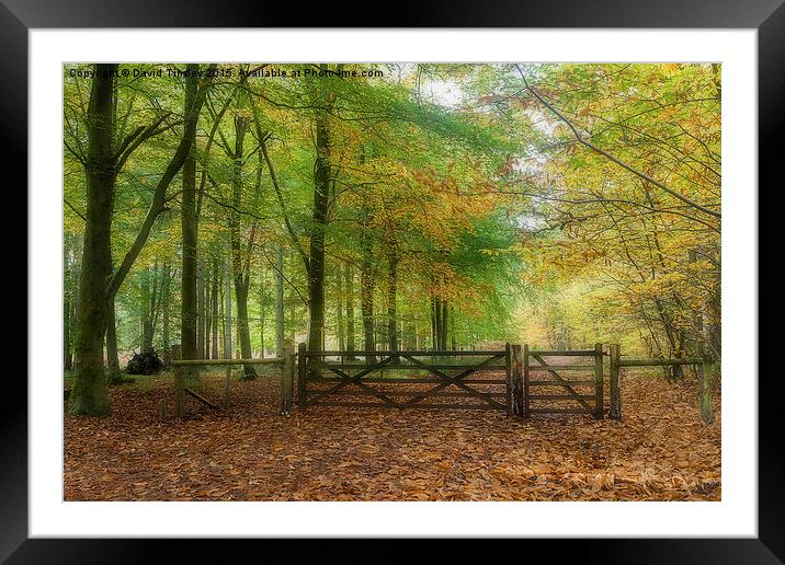  Autumn Gateway Framed Mounted Print by David Tinsley
