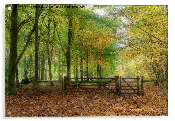  Autumn Gateway Acrylic by David Tinsley