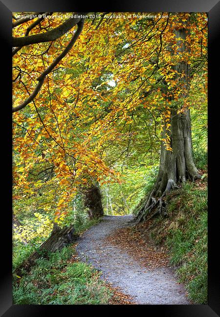  Autumn Woods Framed Print by Beverley Middleton
