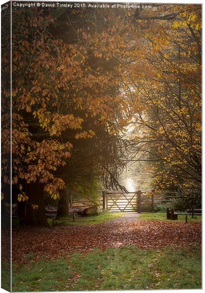  Autumn Gateway 2 Canvas Print by David Tinsley