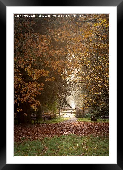  Autumn Gateway 2 Framed Mounted Print by David Tinsley