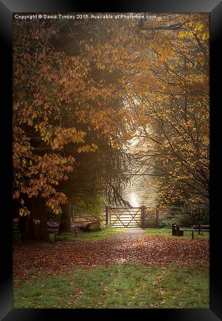  Autumn Gateway 2 Framed Print by David Tinsley
