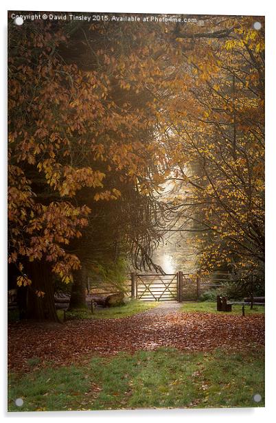  Autumn Gateway 2 Acrylic by David Tinsley